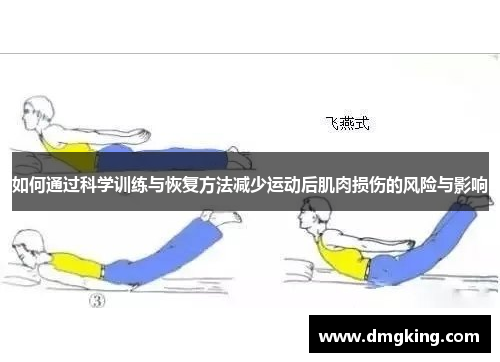 如何通过科学训练与恢复方法减少运动后肌肉损伤的风险与影响